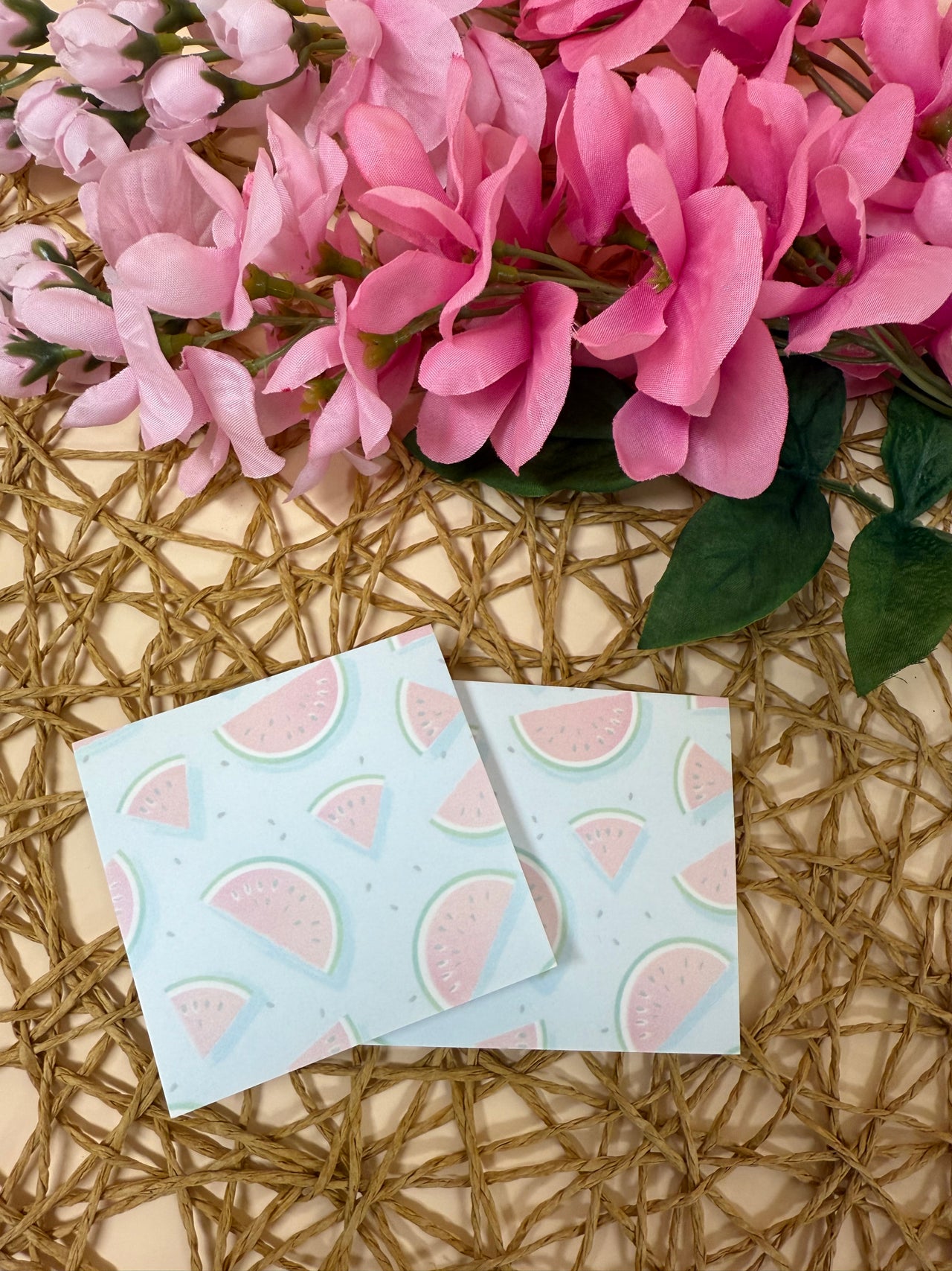 Watermelon sticky note set