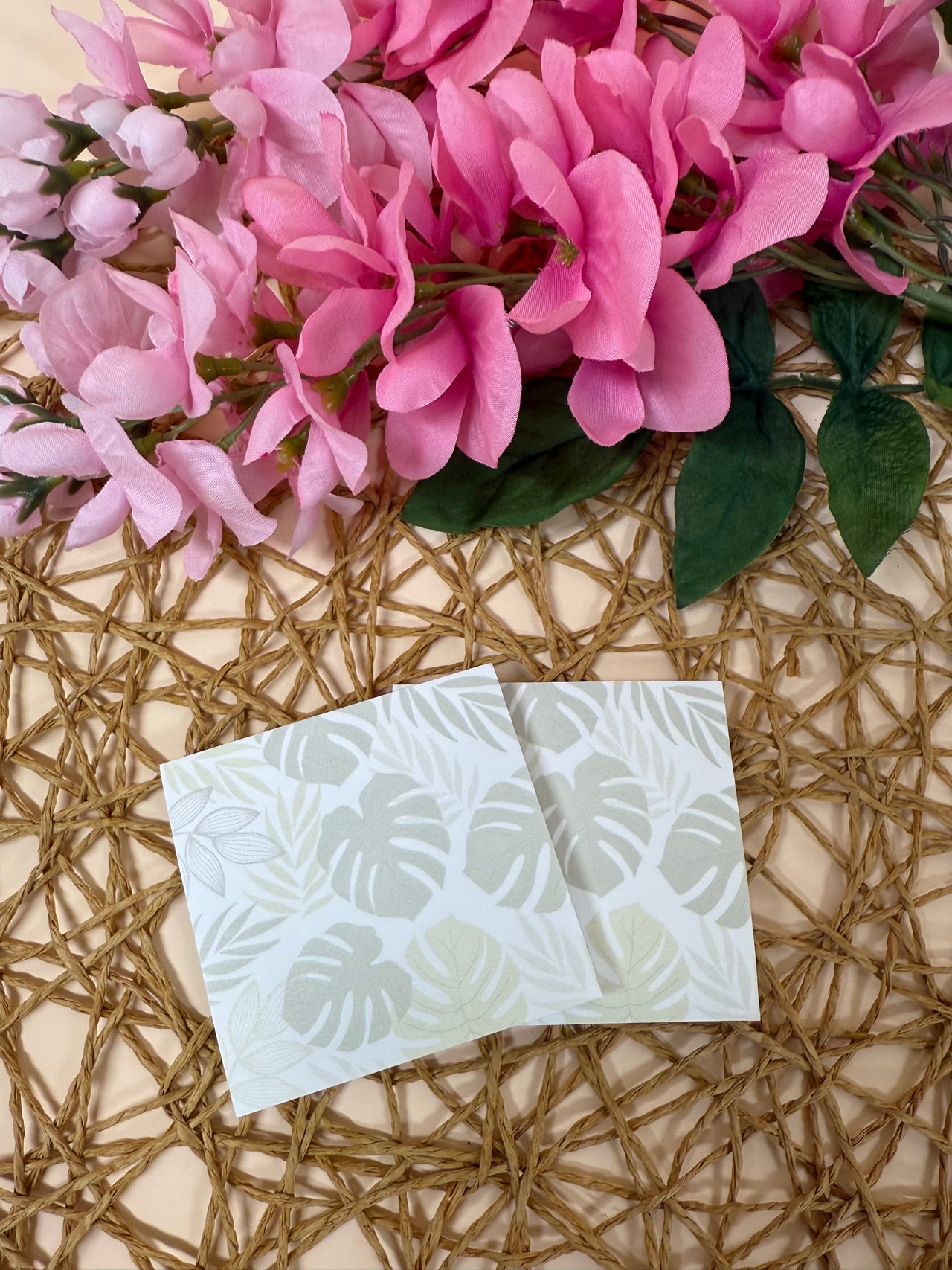 Monstera leaves sticky note set