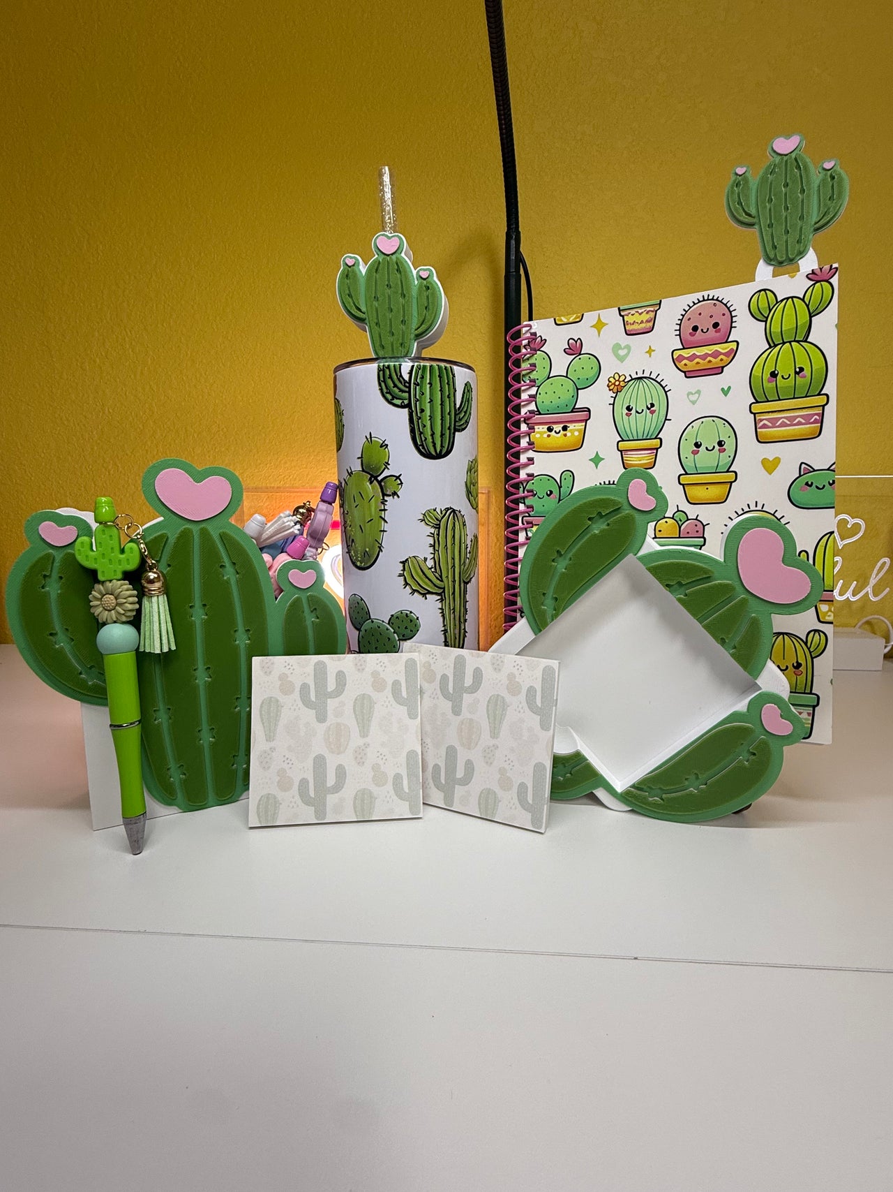 Succulent bundle
